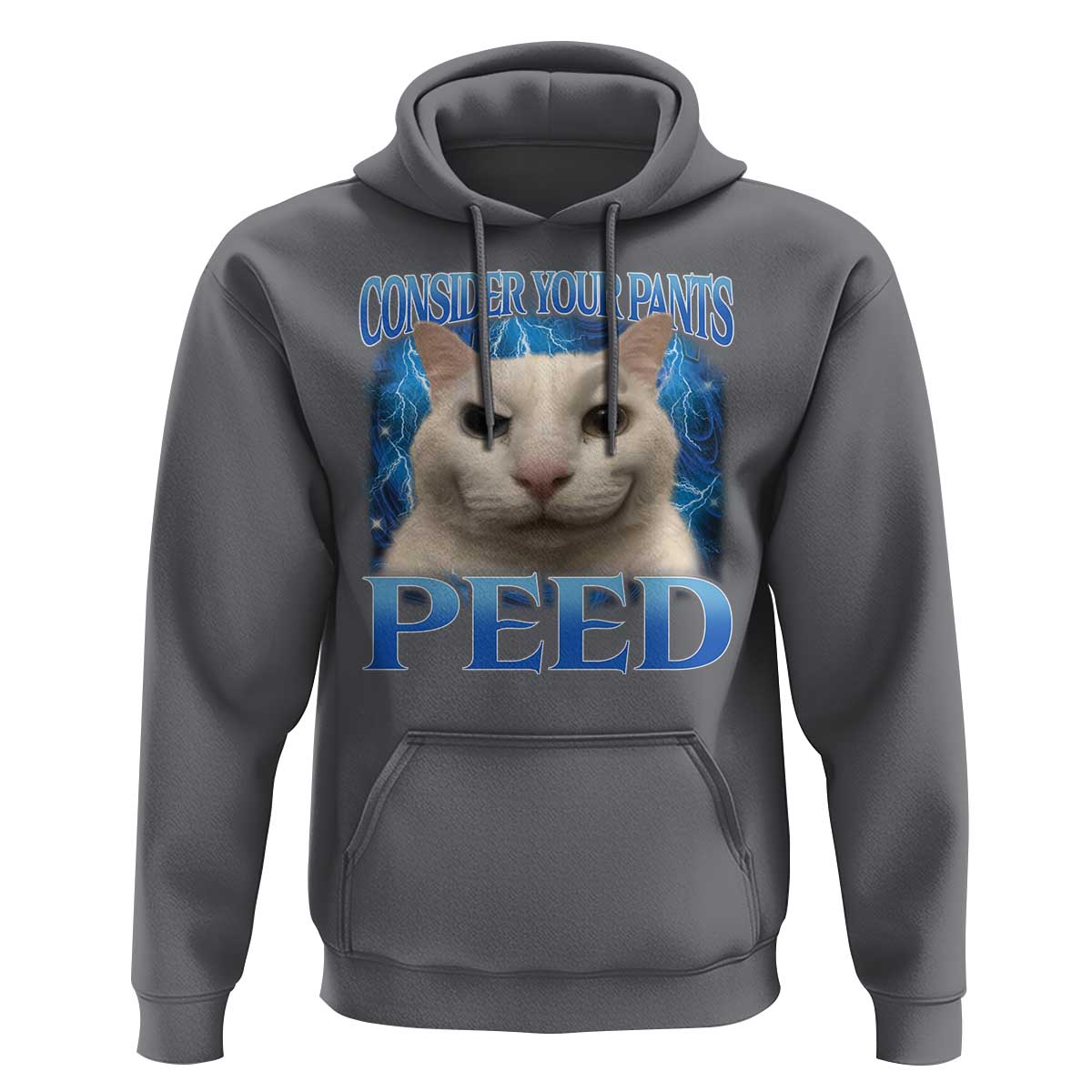 Meme Cat Hoodie Funny Weird Humor Consider Your Pants Peed - Wonder Print Shop
