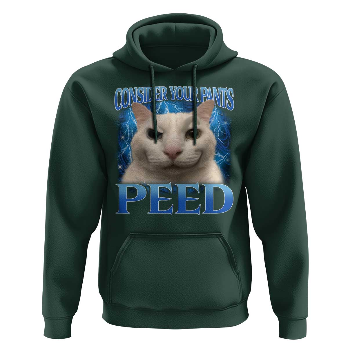 Meme Cat Hoodie Funny Weird Humor Consider Your Pants Peed - Wonder Print Shop