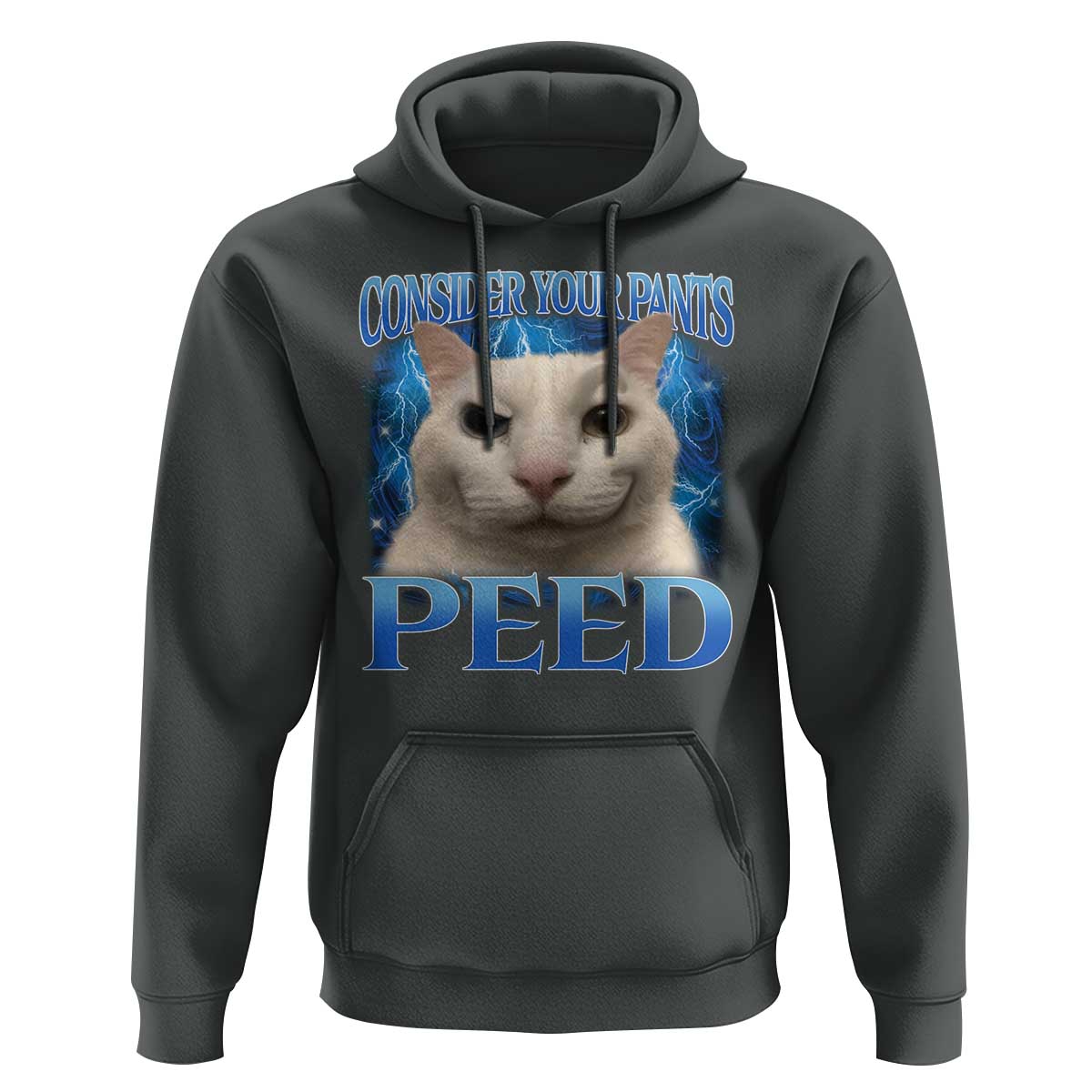 Meme Cat Hoodie Funny Weird Humor Consider Your Pants Peed - Wonder Print Shop