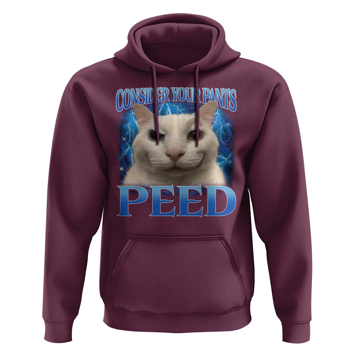 Meme Cat Hoodie Funny Weird Humor Consider Your Pants Peed - Wonder Print Shop