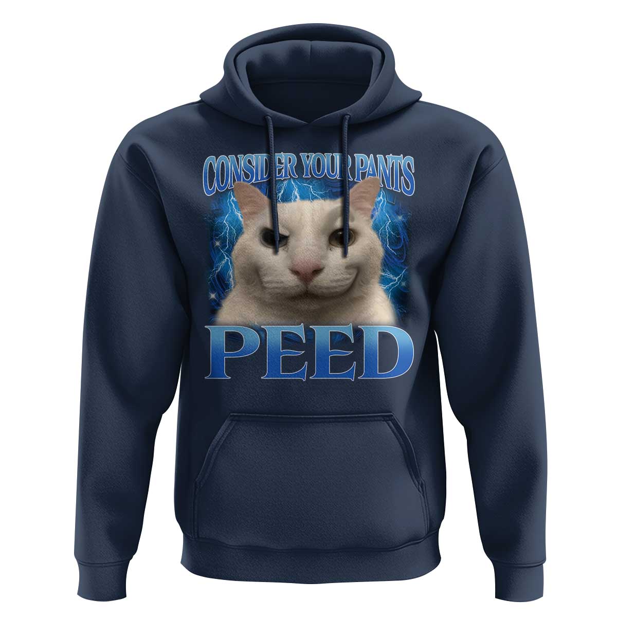 Meme Cat Hoodie Funny Weird Humor Consider Your Pants Peed - Wonder Print Shop