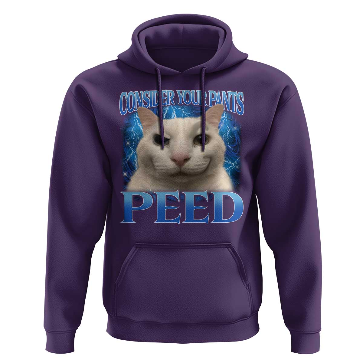 Meme Cat Hoodie Funny Weird Humor Consider Your Pants Peed - Wonder Print Shop