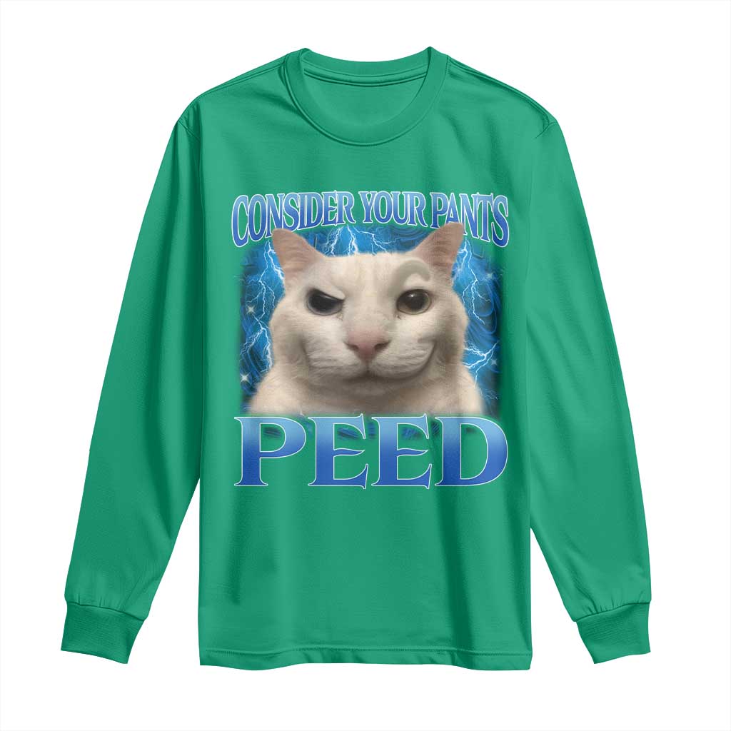 Meme Cat Long Sleeve Shirt Funny Weird Humor Consider Your Pants Peed - Wonder Print Shop