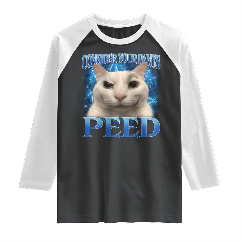 Meme Cat Raglan Shirt Funny Weird Humor Consider Your Pants Peed - Wonder Print Shop