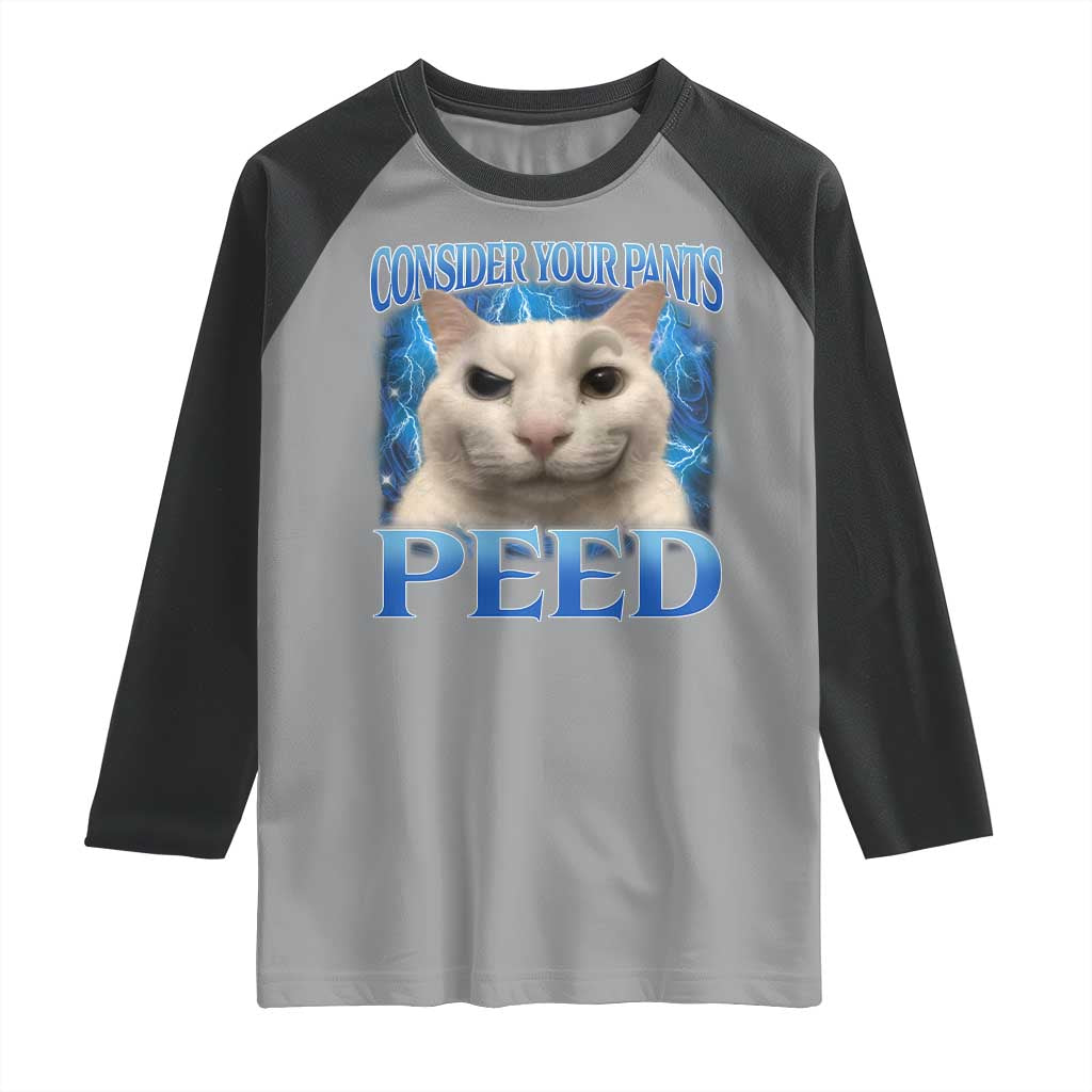 Meme Cat Raglan Shirt Funny Weird Humor Consider Your Pants Peed - Wonder Print Shop