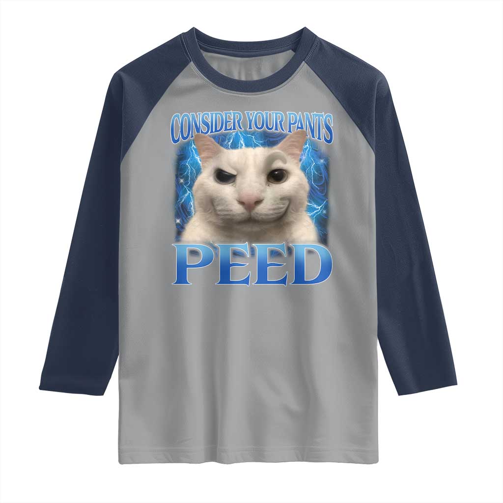 Meme Cat Raglan Shirt Funny Weird Humor Consider Your Pants Peed - Wonder Print Shop