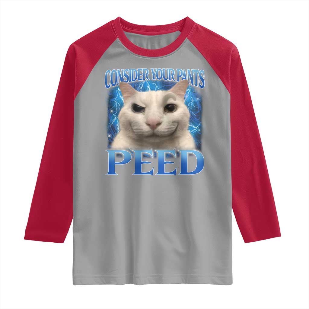 Meme Cat Raglan Shirt Funny Weird Humor Consider Your Pants Peed - Wonder Print Shop