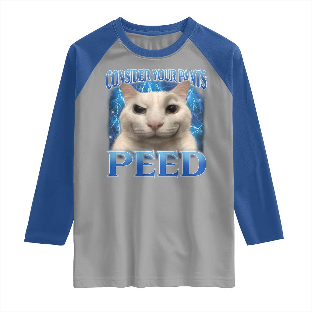 Meme Cat Raglan Shirt Funny Weird Humor Consider Your Pants Peed - Wonder Print Shop