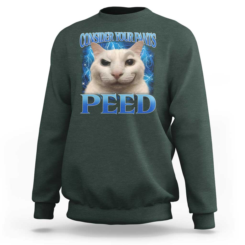 Meme Cat Sweatshirt Funny Weird Humor Consider Your Pants Peed - Wonder Print Shop