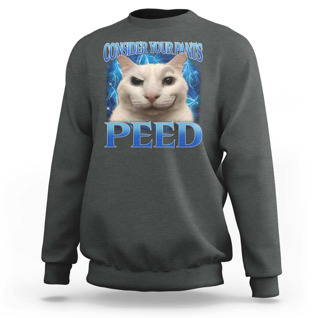 Meme Cat Sweatshirt Funny Weird Humor Consider Your Pants Peed - Wonder Print Shop