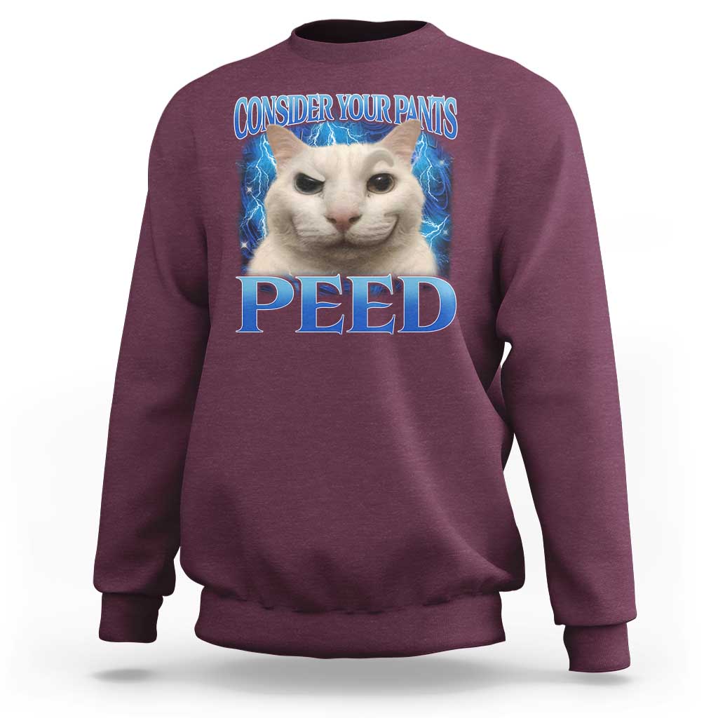 Meme Cat Sweatshirt Funny Weird Humor Consider Your Pants Peed - Wonder Print Shop