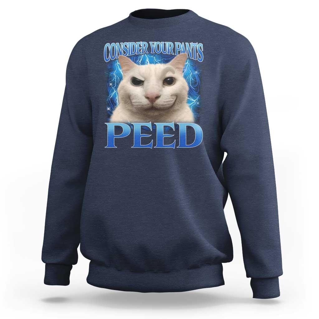 Meme Cat Sweatshirt Funny Weird Humor Consider Your Pants Peed - Wonder Print Shop