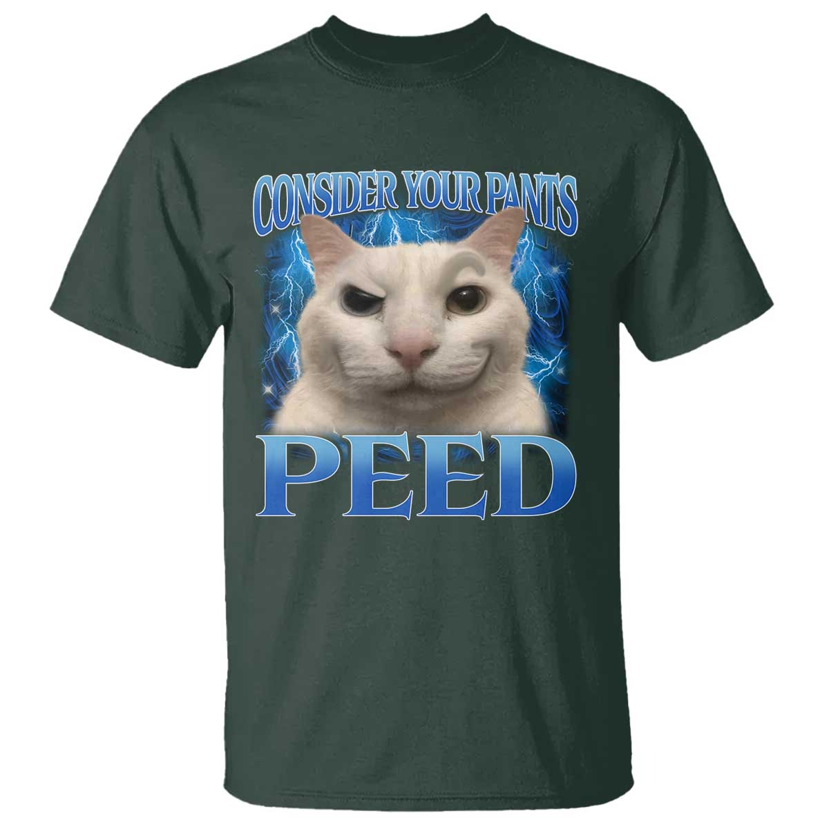 Meme Cat T Shirt Funny Weird Humor Consider Your Pants Peed - Wonder Print Shop