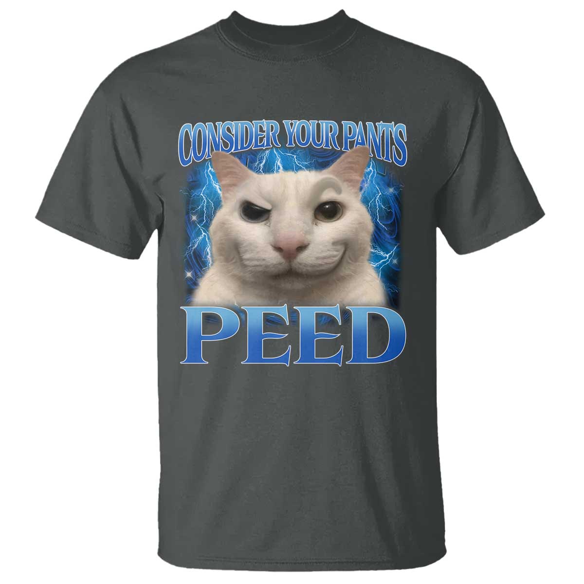 Meme Cat T Shirt Funny Weird Humor Consider Your Pants Peed - Wonder Print Shop