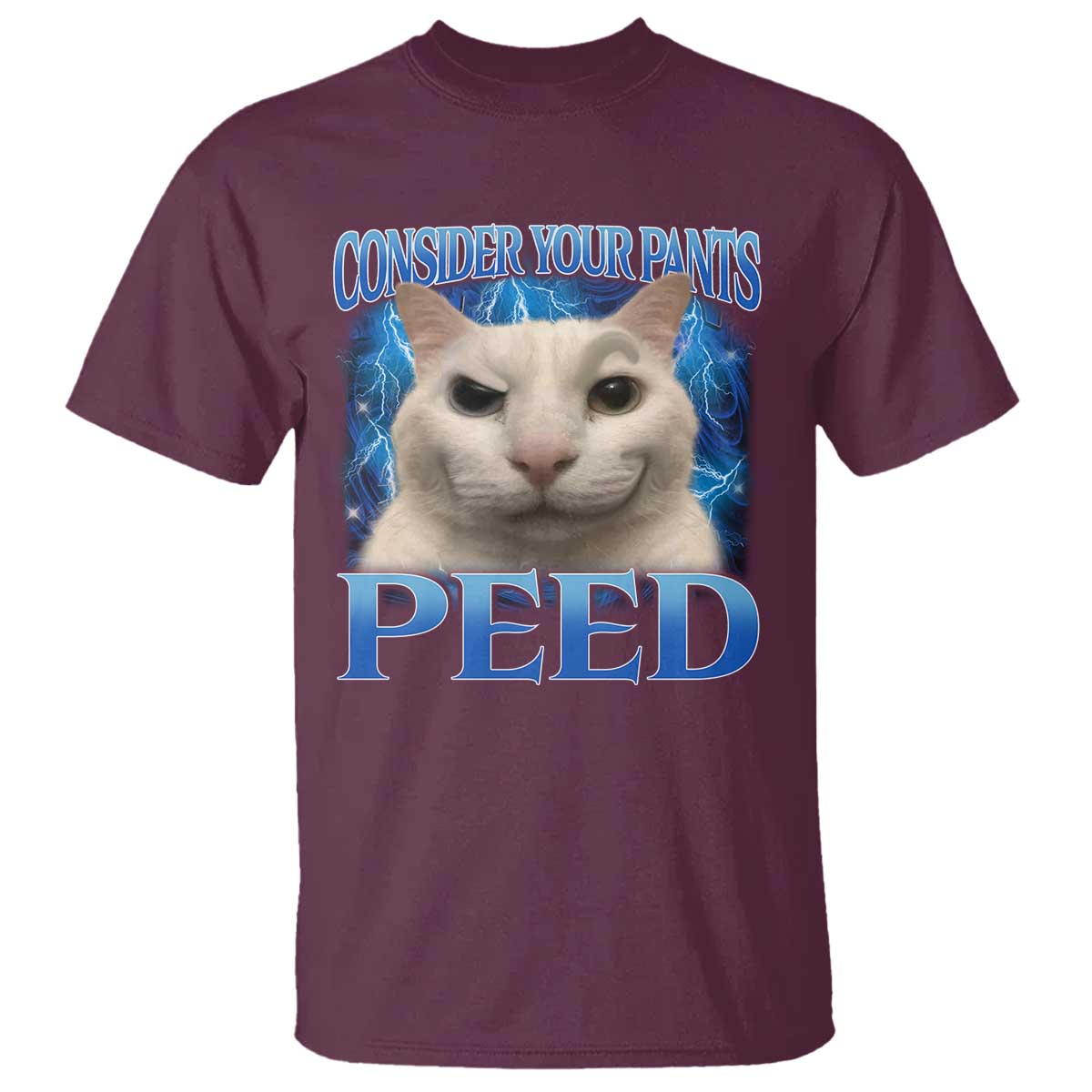 Meme Cat T Shirt Funny Weird Humor Consider Your Pants Peed - Wonder Print Shop