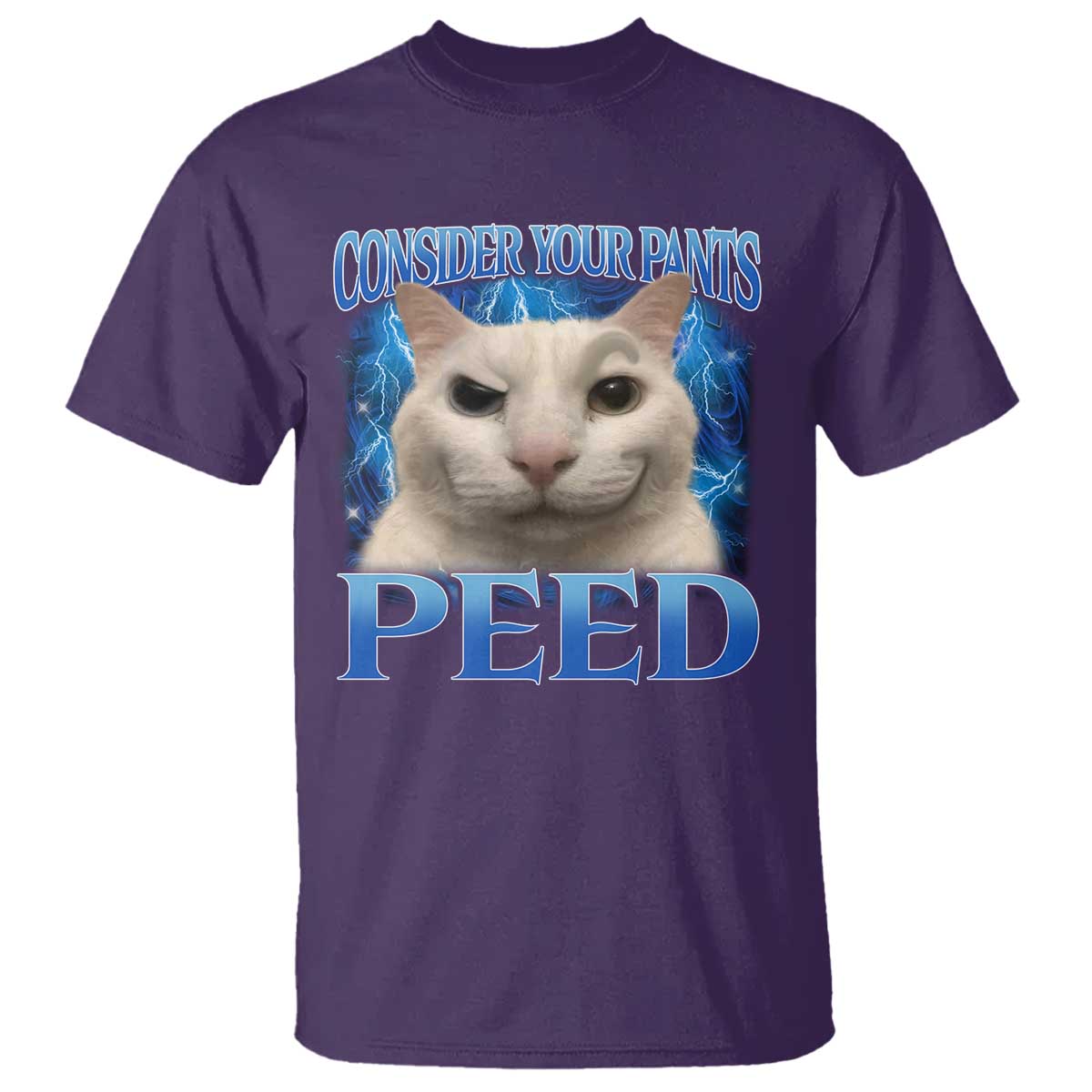 Meme Cat T Shirt Funny Weird Humor Consider Your Pants Peed - Wonder Print Shop