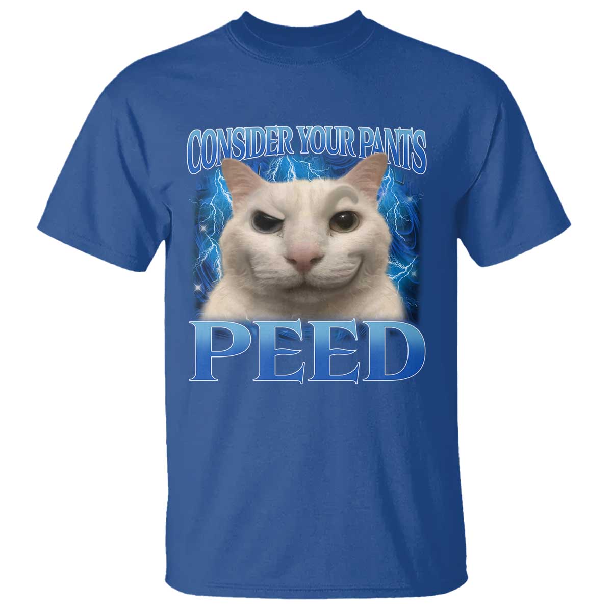 Meme Cat T Shirt Funny Weird Humor Consider Your Pants Peed - Wonder Print Shop