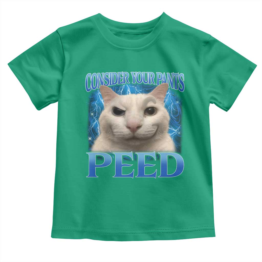 Meme Cat Toddler T Shirt Funny Weird Humor Consider Your Pants Peed - Wonder Print Shop