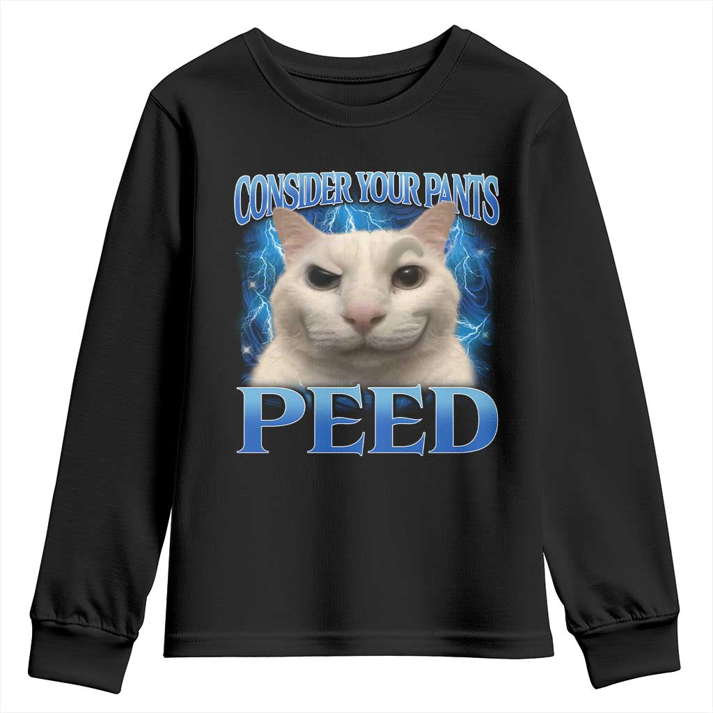 Meme Cat Youth Sweatshirt Funny Weird Humor Consider Your Pants Peed - Wonder Print Shop