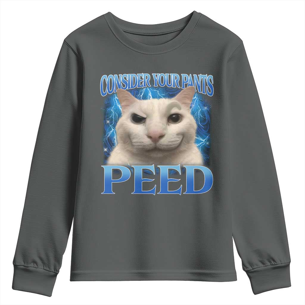 Meme Cat Youth Sweatshirt Funny Weird Humor Consider Your Pants Peed - Wonder Print Shop