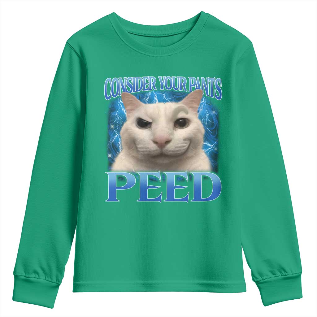 Meme Cat Youth Sweatshirt Funny Weird Humor Consider Your Pants Peed - Wonder Print Shop