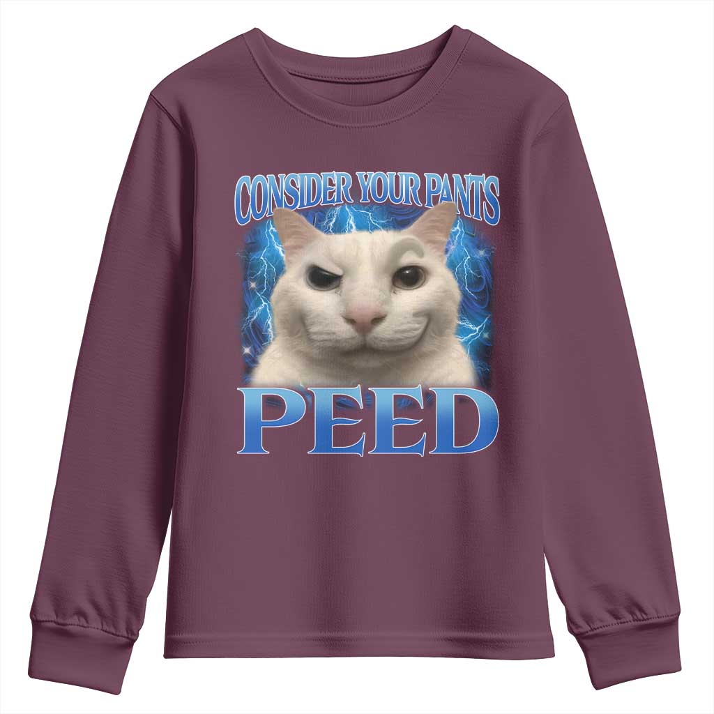 Meme Cat Youth Sweatshirt Funny Weird Humor Consider Your Pants Peed - Wonder Print Shop