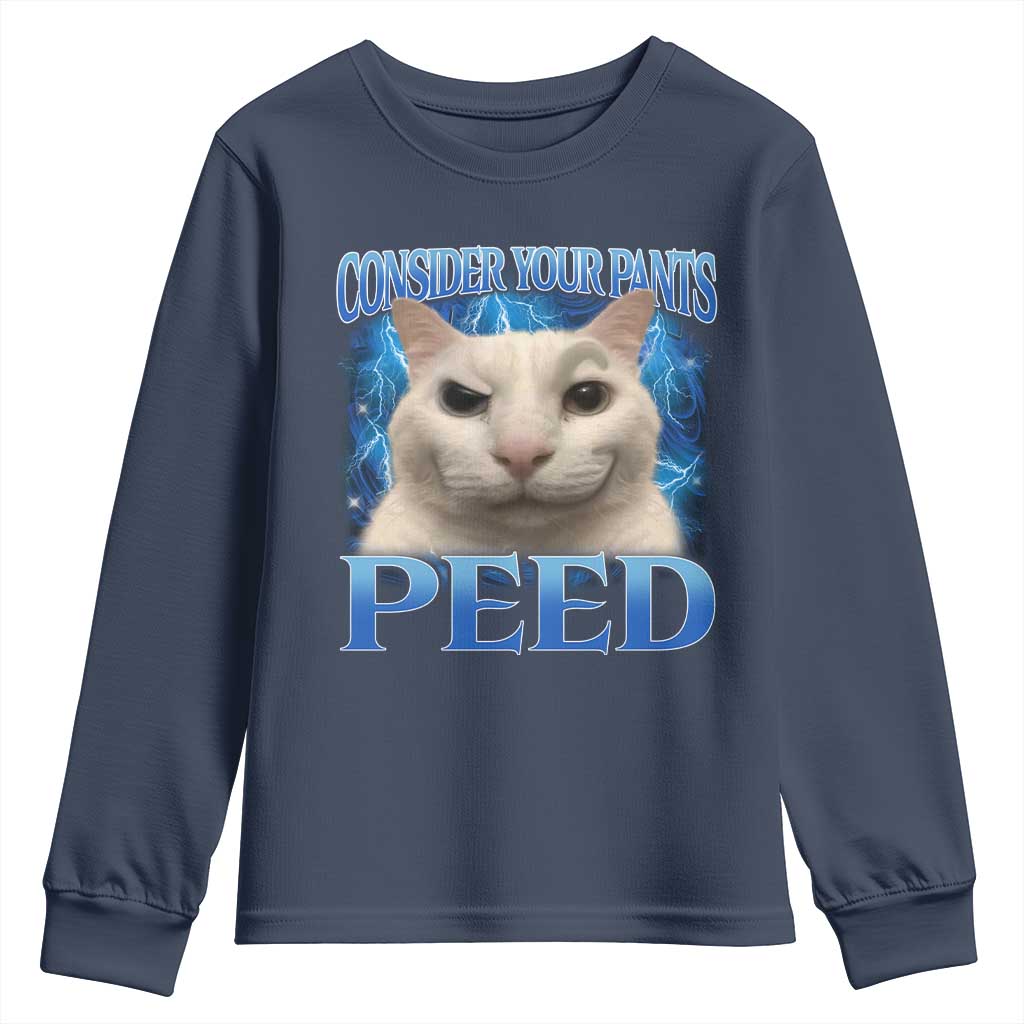 Meme Cat Youth Sweatshirt Funny Weird Humor Consider Your Pants Peed - Wonder Print Shop