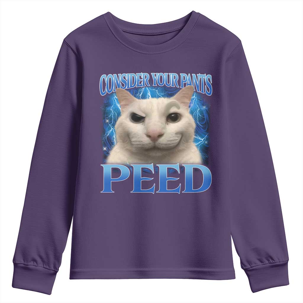 Meme Cat Youth Sweatshirt Funny Weird Humor Consider Your Pants Peed - Wonder Print Shop