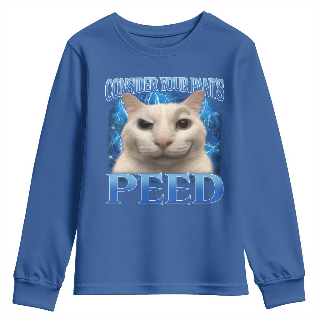 Meme Cat Youth Sweatshirt Funny Weird Humor Consider Your Pants Peed - Wonder Print Shop