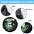 No Kings in America Portland Frog Spare Tire Cover Funny Political Meme - Wonder Print Shop