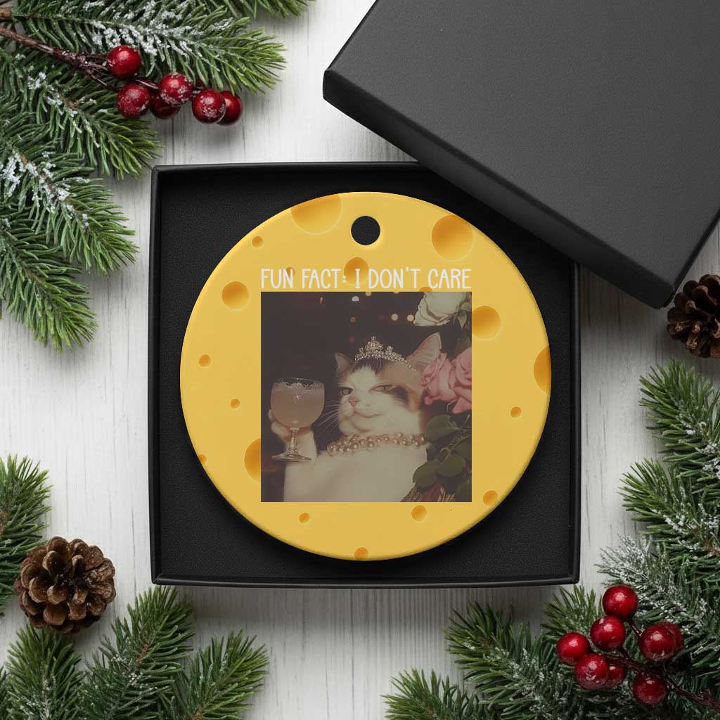 Cat Meme Ceramic Ornament Fun Fact I Dont Care Funny Saying Quote - Wonder Print Shop