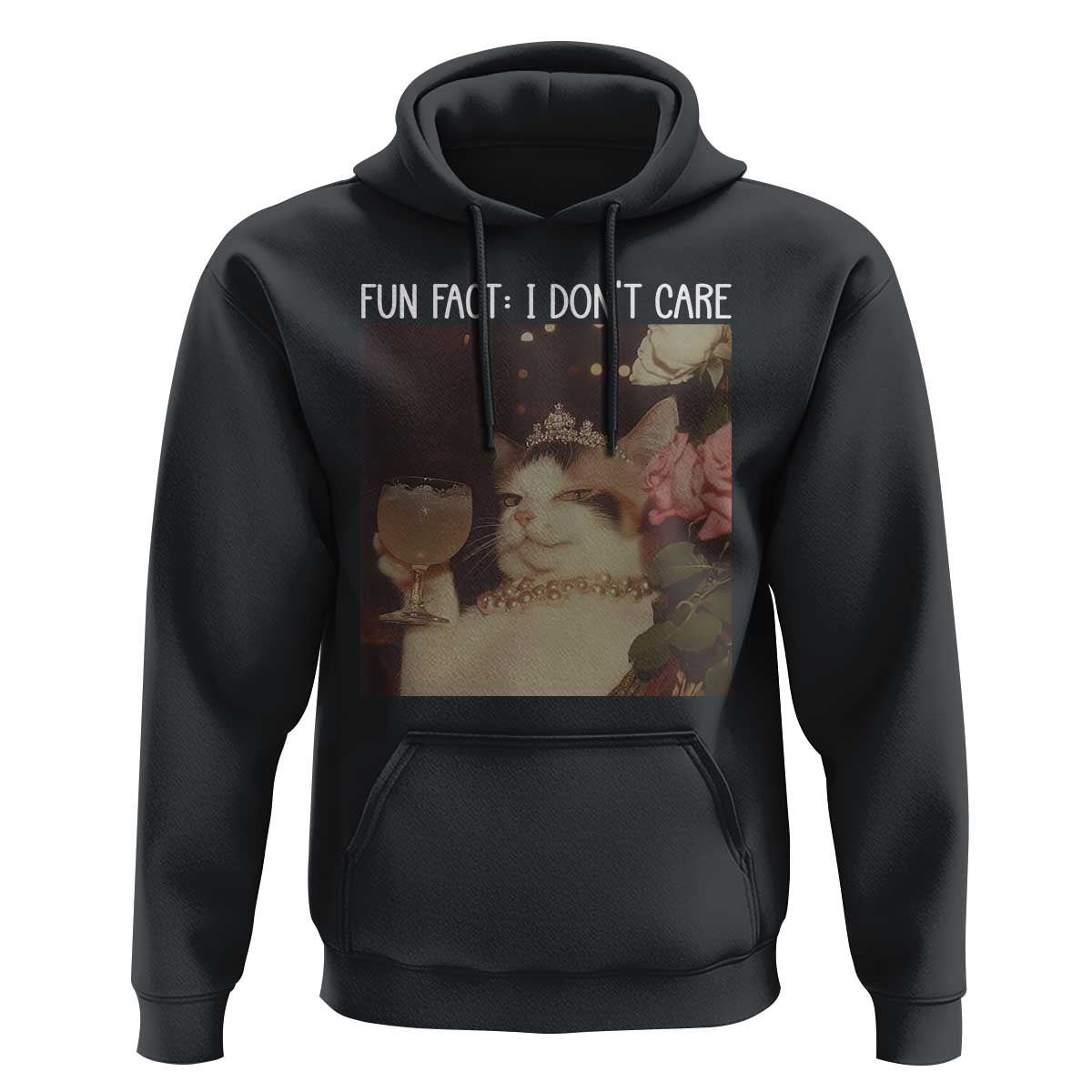Cat Meme Hoodie Fun Fact I Dont Care Funny Saying Quote - Wonder Print Shop