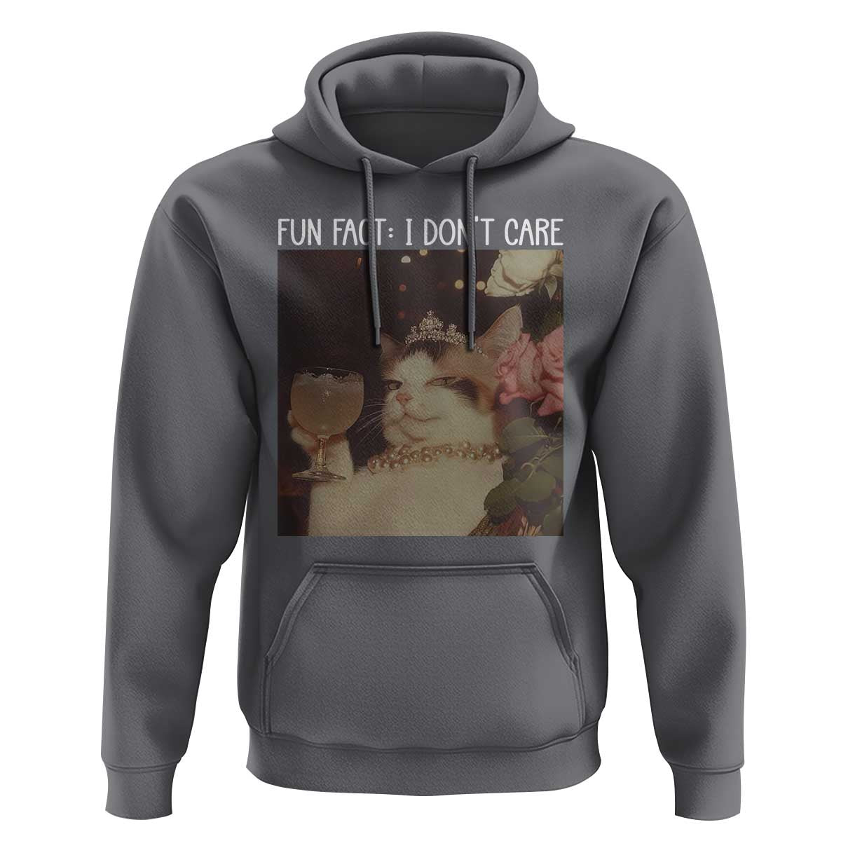 Cat Meme Hoodie Fun Fact I Dont Care Funny Saying Quote - Wonder Print Shop