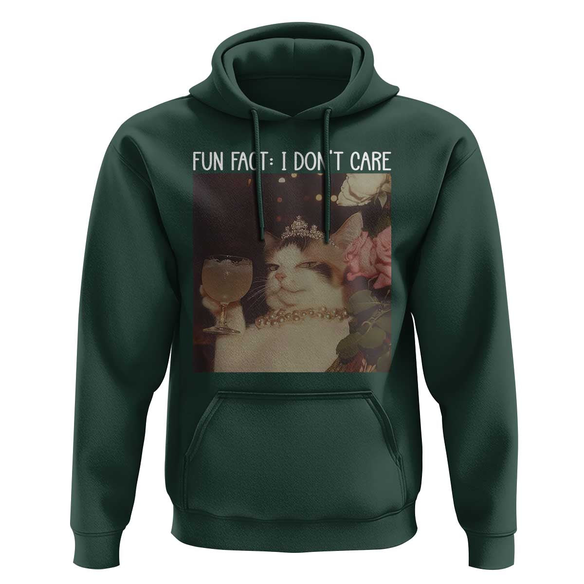 Cat Meme Hoodie Fun Fact I Dont Care Funny Saying Quote - Wonder Print Shop