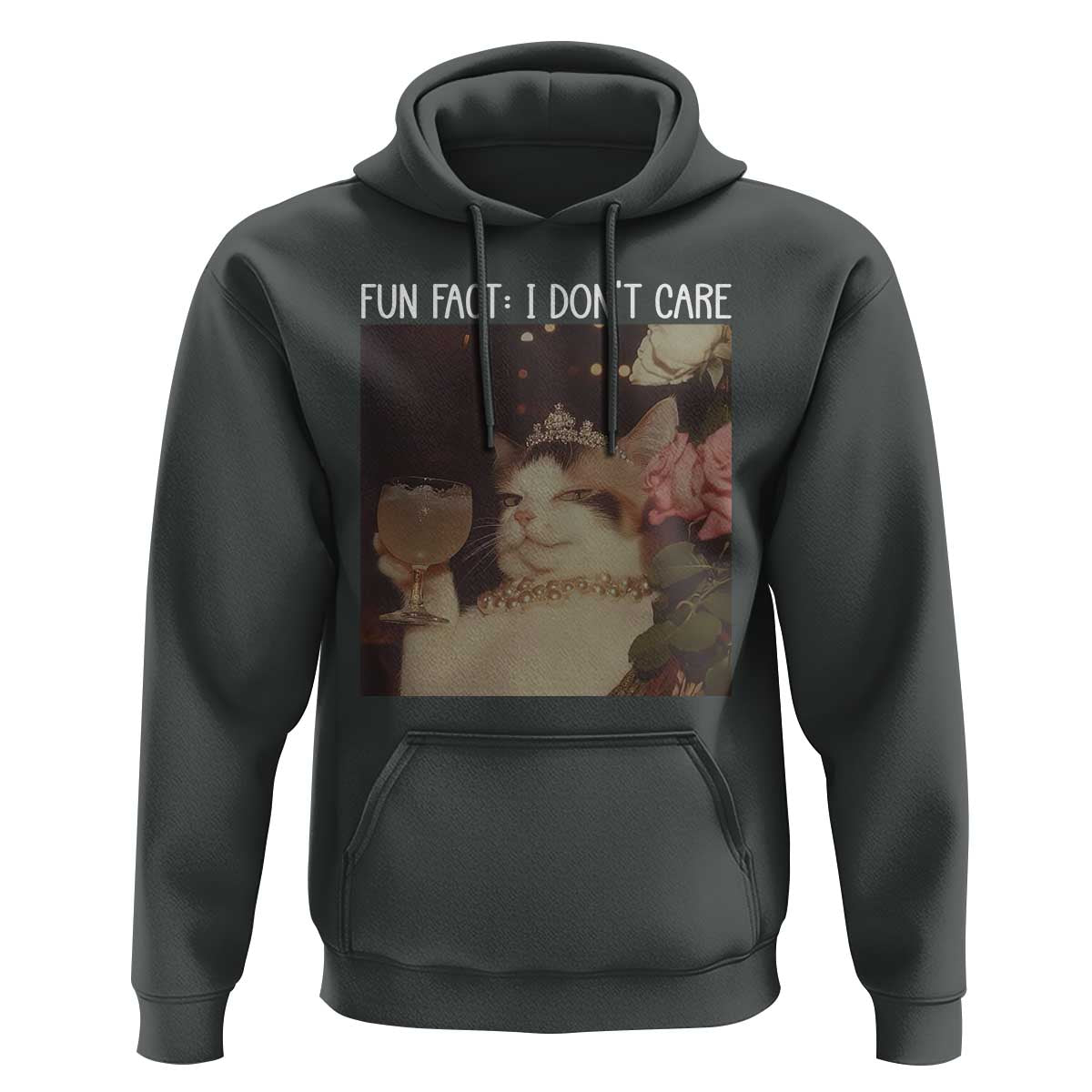 Cat Meme Hoodie Fun Fact I Dont Care Funny Saying Quote - Wonder Print Shop