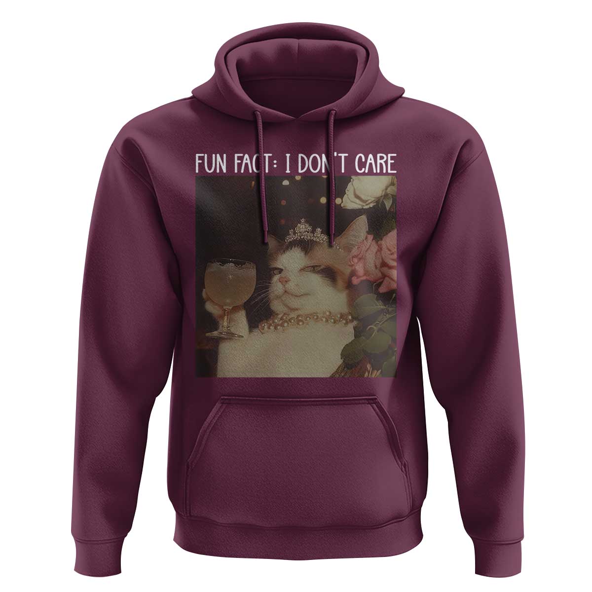 Cat Meme Hoodie Fun Fact I Dont Care Funny Saying Quote - Wonder Print Shop