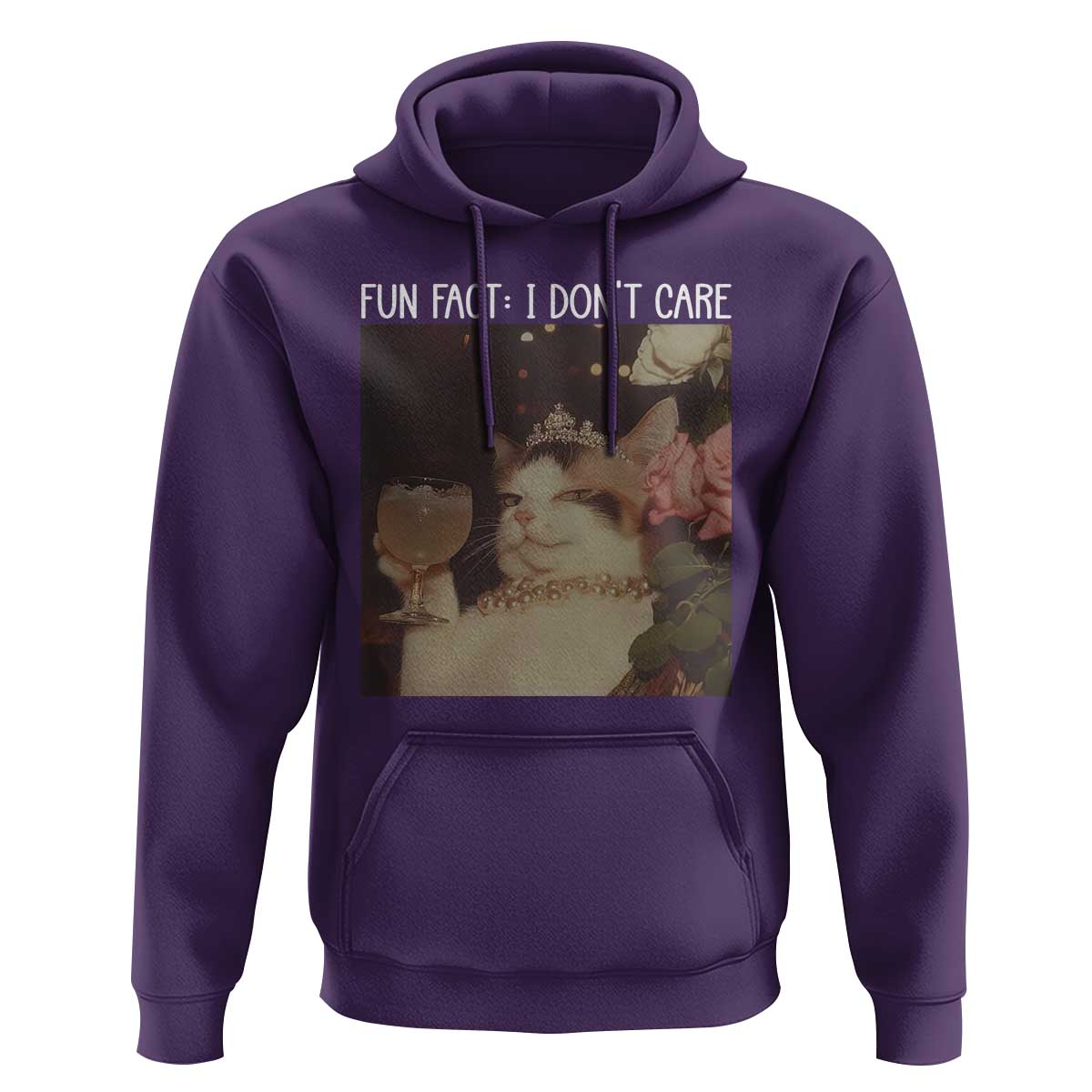 Cat Meme Hoodie Fun Fact I Dont Care Funny Saying Quote - Wonder Print Shop