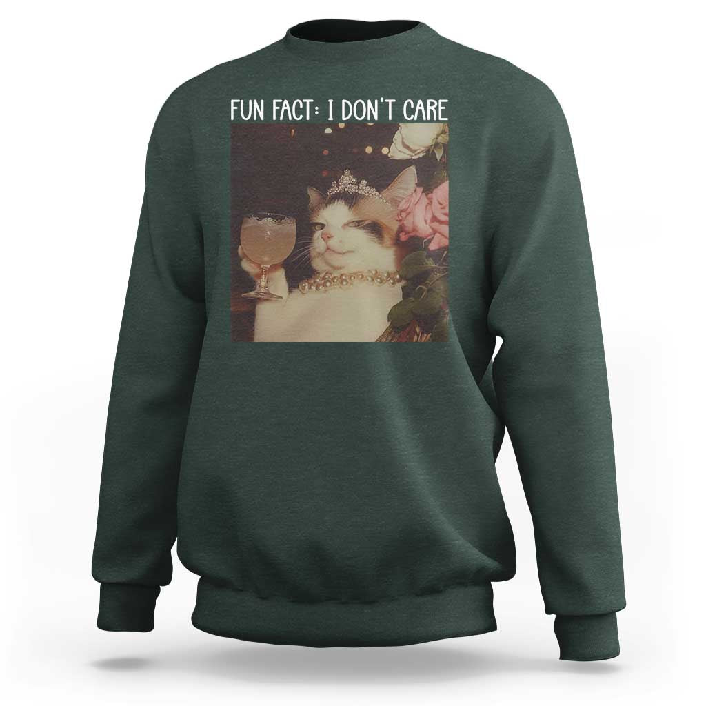 Cat Meme Sweatshirt Fun Fact I Dont Care Funny Saying Quote - Wonder Print Shop