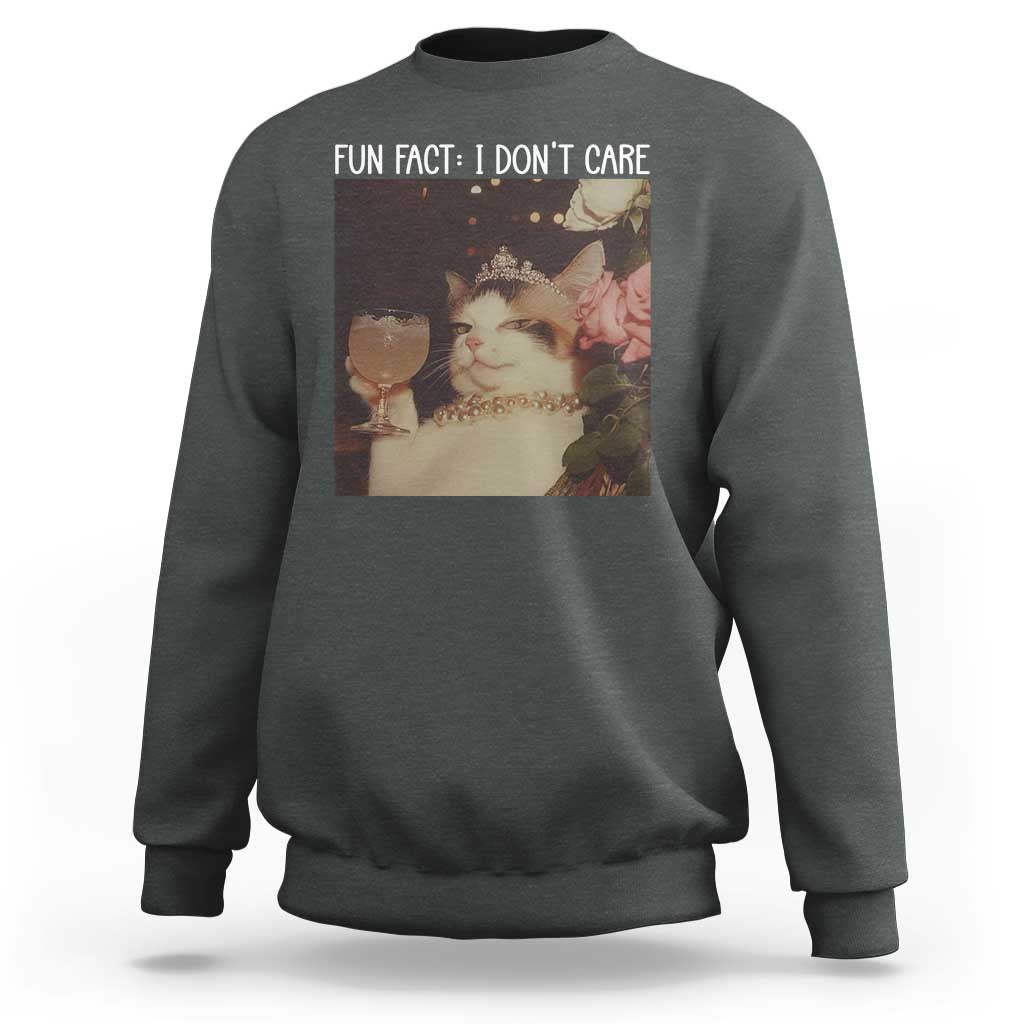 Cat Meme Sweatshirt Fun Fact I Dont Care Funny Saying Quote - Wonder Print Shop
