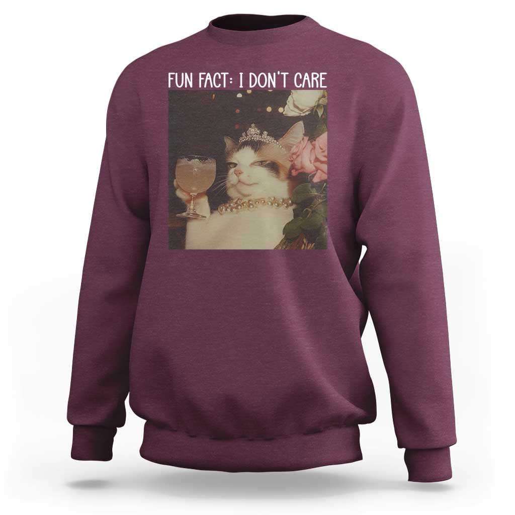 Cat Meme Sweatshirt Fun Fact I Dont Care Funny Saying Quote - Wonder Print Shop