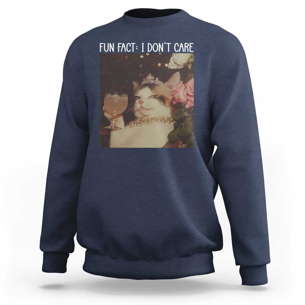 Cat Meme Sweatshirt Fun Fact I Dont Care Funny Saying Quote - Wonder Print Shop