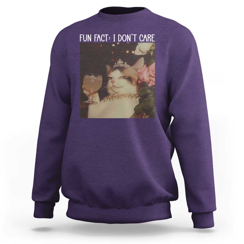 Cat Meme Sweatshirt Fun Fact I Dont Care Funny Saying Quote - Wonder Print Shop