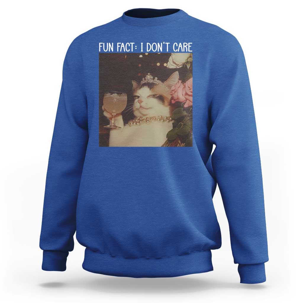 Cat Meme Sweatshirt Fun Fact I Dont Care Funny Saying Quote - Wonder Print Shop