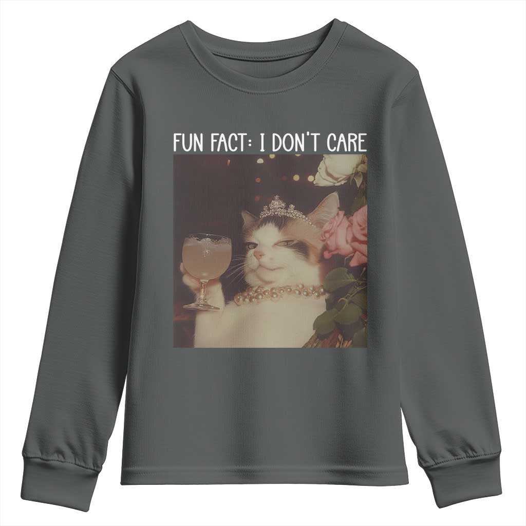 Cat Meme Youth Sweatshirt Fun Fact I Dont Care Funny Saying Quote - Wonder Print Shop