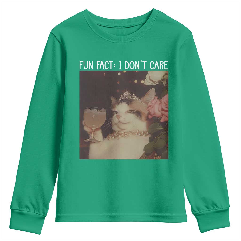Cat Meme Youth Sweatshirt Fun Fact I Dont Care Funny Saying Quote - Wonder Print Shop
