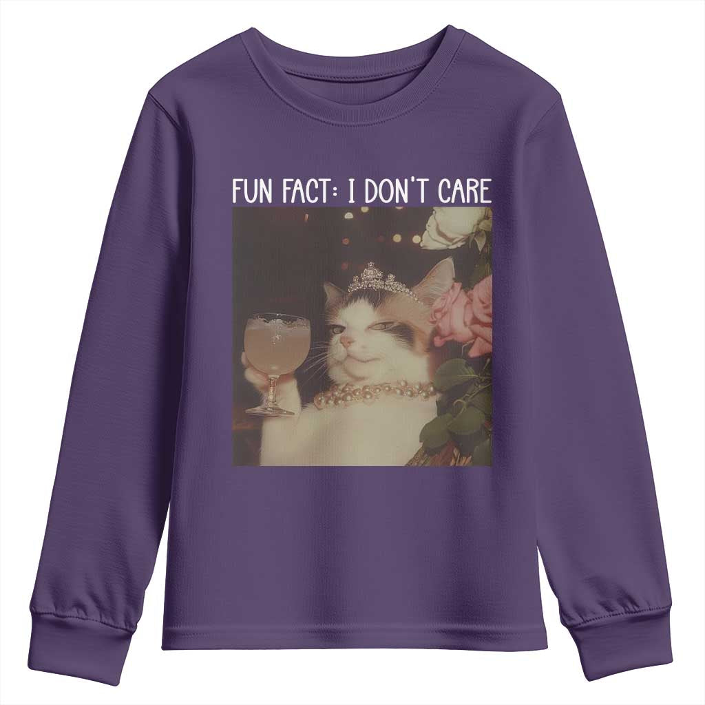 Cat Meme Youth Sweatshirt Fun Fact I Dont Care Funny Saying Quote - Wonder Print Shop