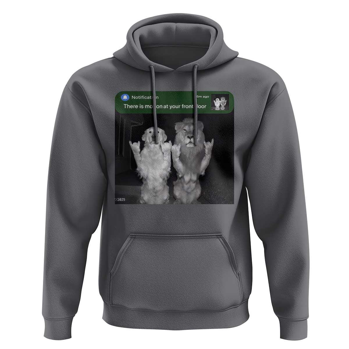 There is Motion at Your Front Door Hoodie Funny Golden Retriever Dog And Lion Motion Meme - Wonder Print Shop