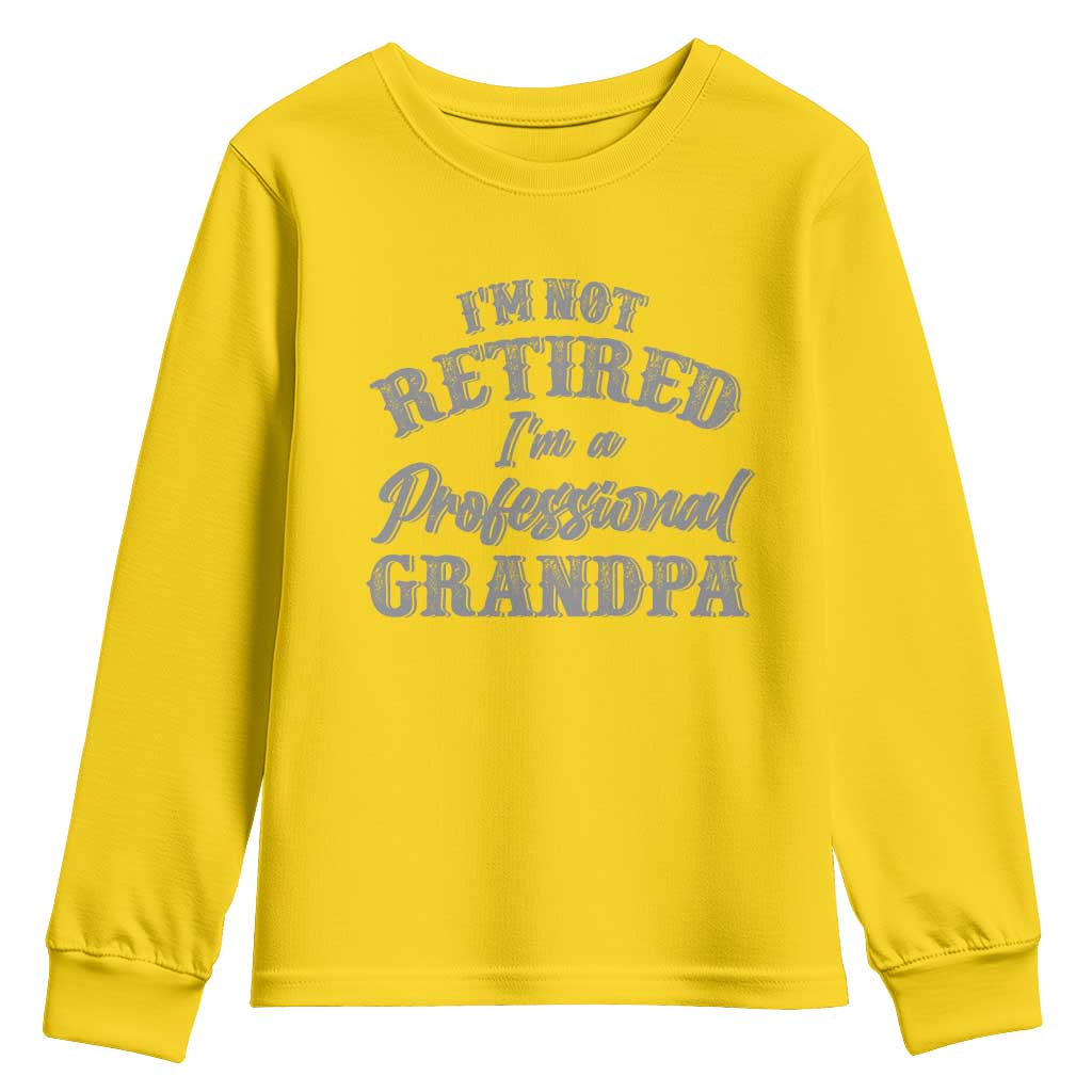 Funny Retirement Gifts Youth Sweatshirt I'm Not Retired I'm A Professional Grandpa