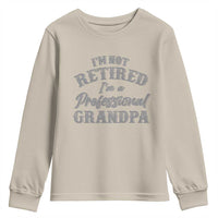 Funny Retirement Gifts Youth Sweatshirt I'm Not Retired I'm A Professional Grandpa