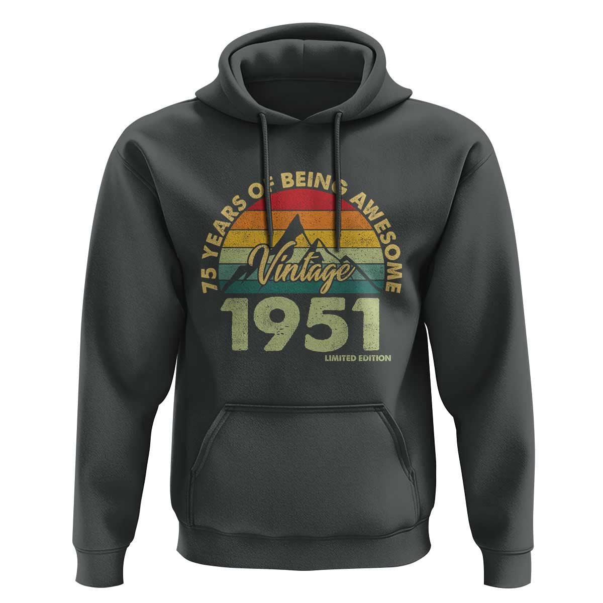 75th Birthday Hoodie Vintage 1951 Limited Edition 75 Year Old Gift